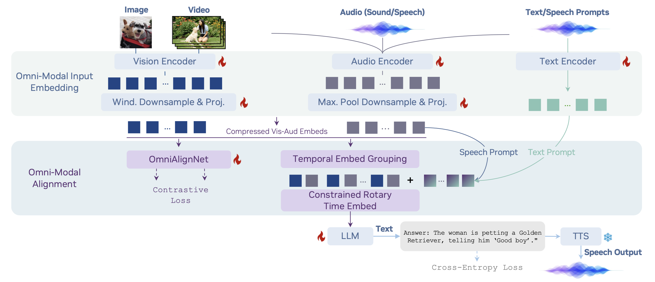 OmniVinci Architecture