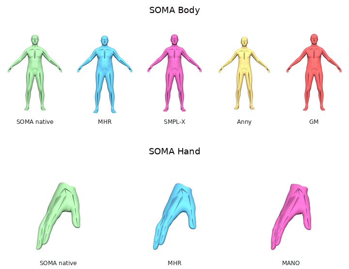 SOMA Body and SOMA Hand identity backends animated by the unified skeleton