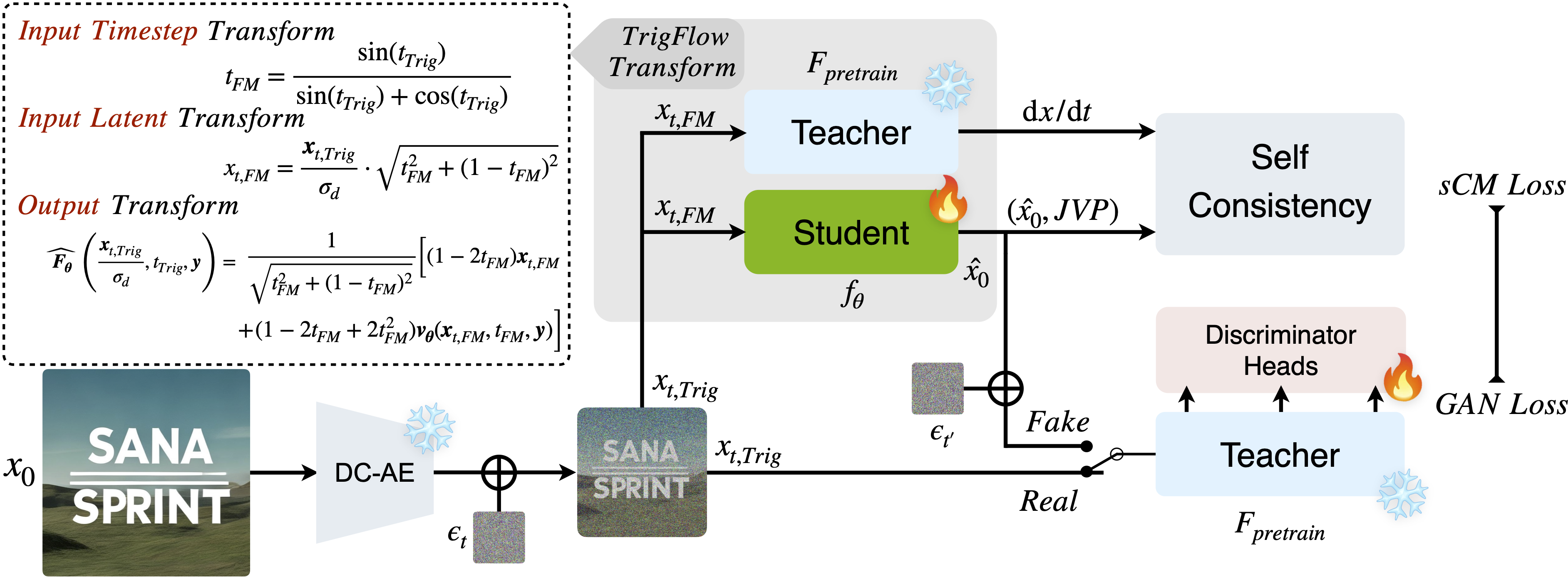 pipeline for Sana