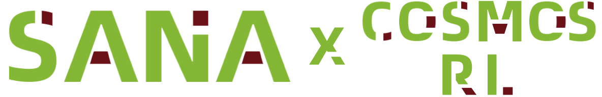 SANA × Cosmos-RL Logo